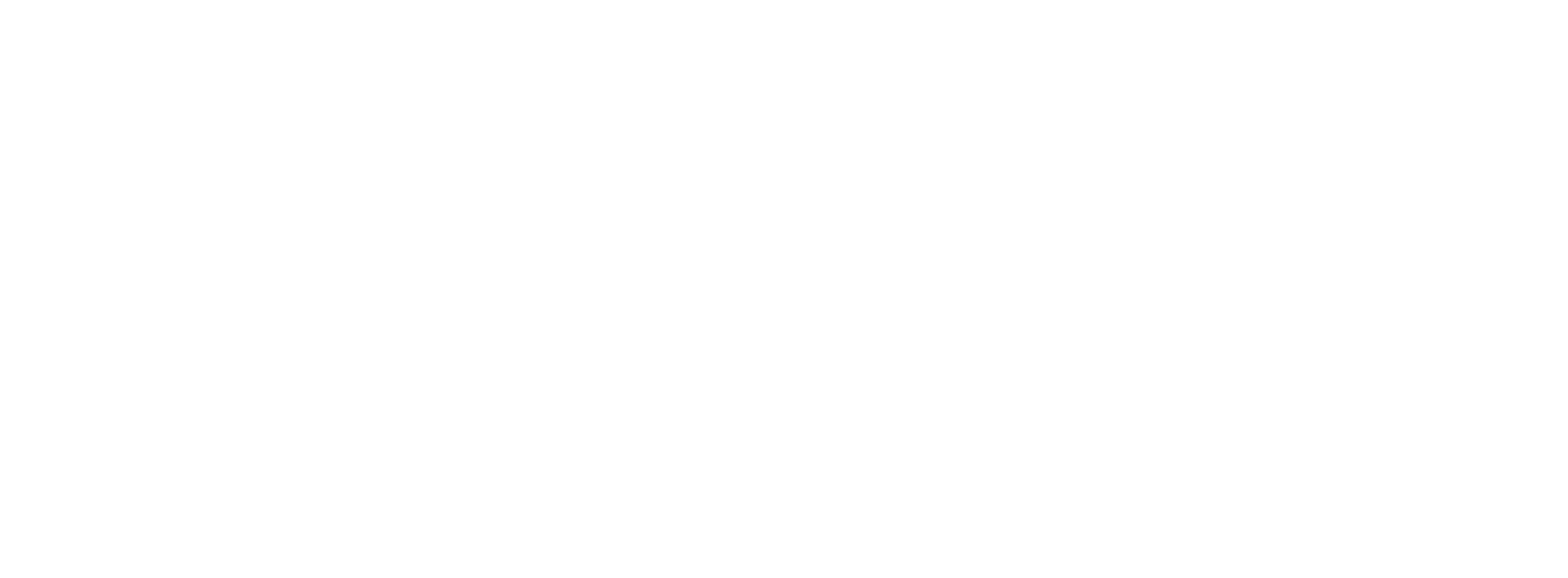 Randijk logo